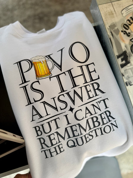 Pivo is the Answer Transfer