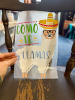 Cinco de Mayo Transfer Designs