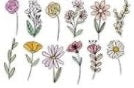 Vintage Floral Transfer Designs