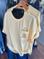 Pocket Full of Sunshine Pocket Transfer Design Set